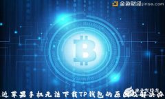 最近苹果手机无法下载T