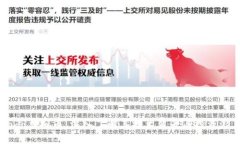 Rado虚拟币：深入了解其技