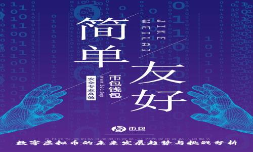数字虚拟币的未来发展趋势与挑战分析