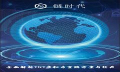 全面解析TNT虚拟币索赔方