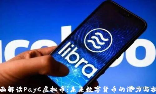 
全面解读PayC虚拟币：未来数字货币的潜力与挑战
