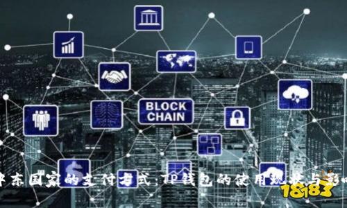 中东国家的支付方式：TP钱包的使用现状与影响