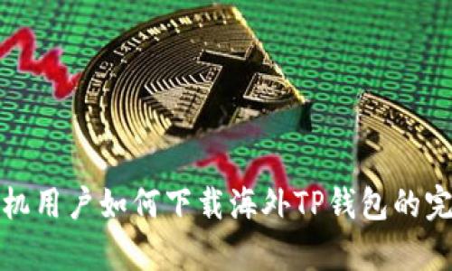 安卓手机用户如何下载海外TP钱包的完整指南