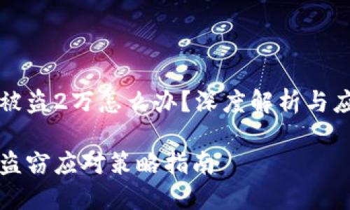 虚拟币被盗2万怎么办？深度解析与应对策略

虚拟币盗窃应对策略指南