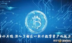 虚拟币小丑鸭：深入了解