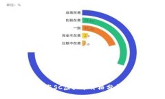2023年C虚拟币与SC虚拟币价