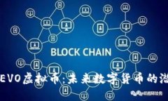 深入探索EVO虚拟币：未来