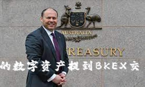 如何将TP钱包中的数字资产提到BKEX交易所？详细全攻略