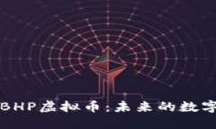 全面解读BHP虚拟币：未来