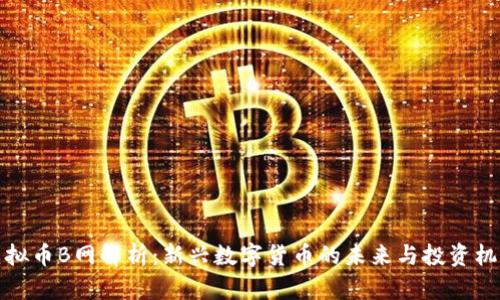 虚拟币B网解析：新兴数字货币的未来与投资机遇