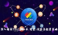 深入解析TZkI虚拟币：前景