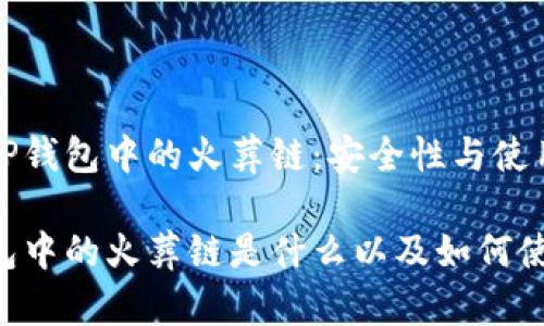 探索TP钱包中的火葬链：安全性与使用指南

TP钱包中的火葬链是什么以及如何使用