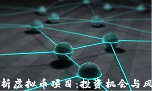 
全面解析虚拟币项目：投资机会与风险评估