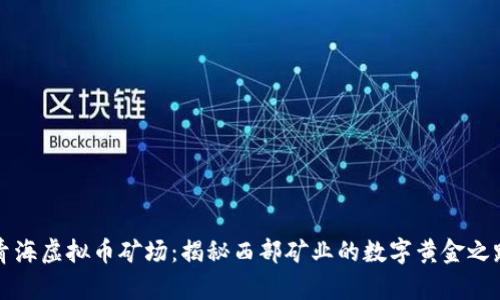 青海虚拟币矿场：揭秘西部矿业的数字黄金之路