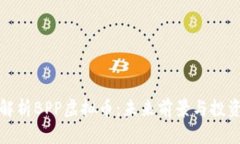 全面解析BPP虚拟币：未来