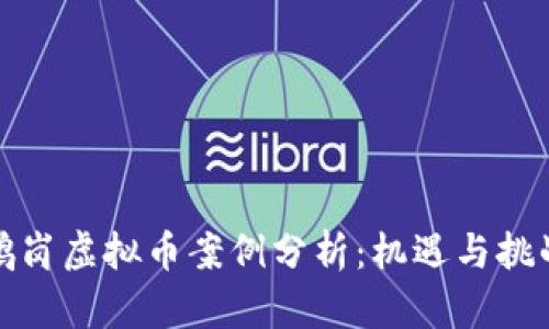 鹤岗虚拟币案例分析：机遇与挑战