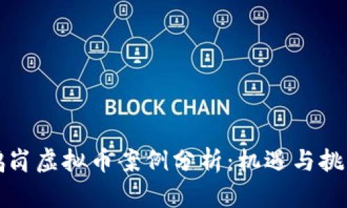 鹤岗虚拟币案例分析：机遇与挑战