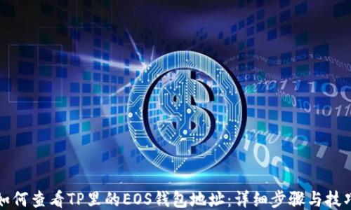 
如何查看TP里的EOS钱包地址：详细步骤与技巧
