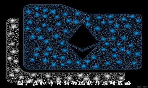   
国产虚拟币传销的现状与应对策略