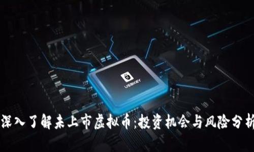 深入了解未上市虚拟币：投资机会与风险分析