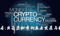 2025必看：贝壳虚拟币的未