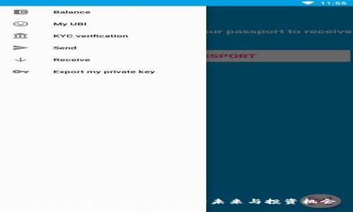 2025必看：TFD虚拟币的未来与投资机会