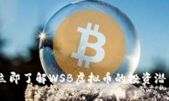  2025必看！立即了解WSB虚拟