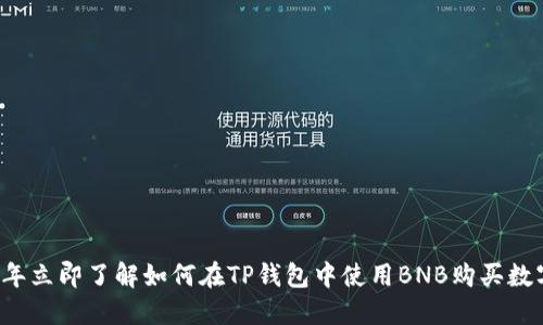 2023年立即了解如何在TP钱包中使用BNB购买数字货币