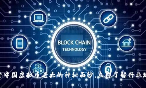 2025必看：揭开中国虚拟币老大的神秘面纱，立即了解行业现状和未来趋势