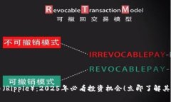 波纹虚拟币（Ripple）：2