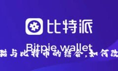 2025必看：虚拟猫与比特币