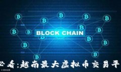   2025必看：越南最大虚拟