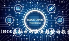2025必看！MIC虚拟币的未来