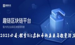 2025必看：探索Bis虚拟币的