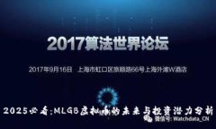 2025必看：MLGB虚拟币的未来