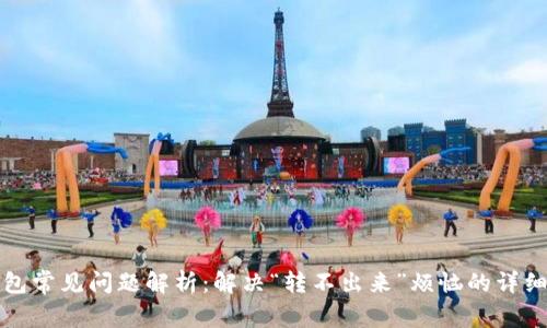 TP钱包常见问题解析：解决“转不出来”烦恼的详细指南