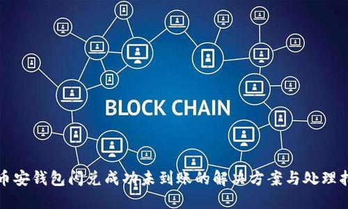 TP币安钱包闪兑成功未到账的解决方案与处理指南