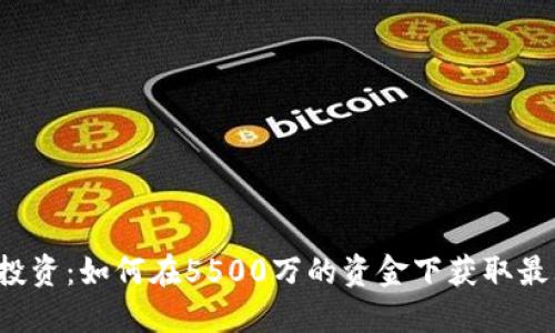 虚拟币投资：如何在5500万的资金下获取最大回报？