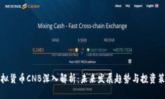 虚拟货币CNB深入解析：未